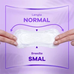 Hot Always Daily Fresh Normal Fresh Scent