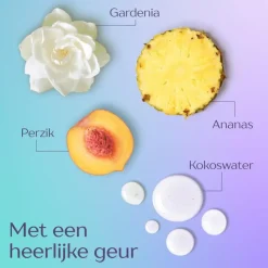 Clearance Andrélon 2-in-1 shampoo 400 ML