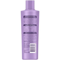 Hot Andrélon Zilver Care Shampoo 250 ML