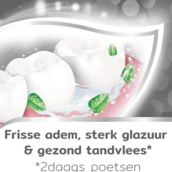 Clearance Aquafresh Tandsteen Controle Tandpasta 75 ML