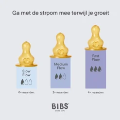 Best Bibs Babyfles 270 ML Sage met Latex speen en opvouwbaar trechtertje