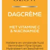 Online Biodermal Vitamin Glow Dagcreme 50 ML