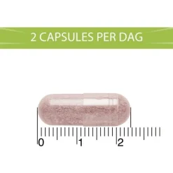 Discount BlaseBerry 50 capsules