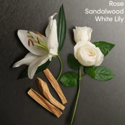 Hot Calvin Klein Eternity Woman eau de parfum 100 ML