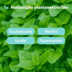 Best Dampo 2-in-1 Inhaler 2 ML