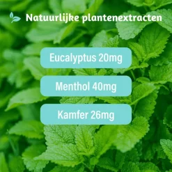 Best Dampo Verkoudheidsbalsem 30 gram