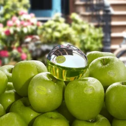 Online DKNY Be Delicious eau de parfum 100 ML