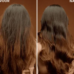 Discount Garnier Loving Blends Argan Camelia Haarmasker 340 ML