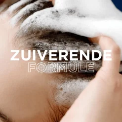 Online Garnier Loving Blends Charcoal Shampoo 300 ML