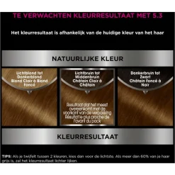 Hot Garnier Olia Permanente Haarverf 5.3 Licht Goudbruin
