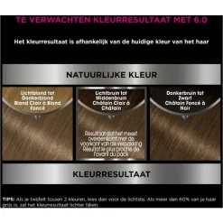 Outlet Garnier Olia Permanente Haarverf 6.0 Donkerblond
