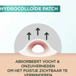 Online Garnier Pure Active Pimple Patch 22 stuks