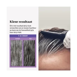 Best Just For Men Touch of Grey T45