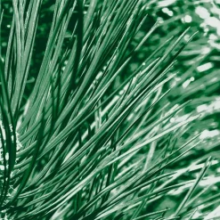 Outlet Kneipp Men 2-in-1 Nature Feeling Douchegel 200 ml