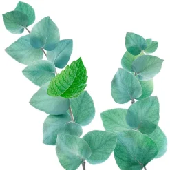 Discount Kneipp Refreshing Badschuim 400 ML