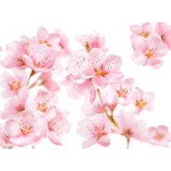 Clearance Kneipp Soft Skin Douchefoam 200 ML