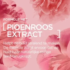 Online L'Oréal Paris Age Perfect Golden Age Dagcrème SPF20 50 ML