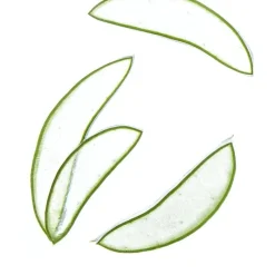 Discount NIVEA Shampoo 2-in-1 Express Shampoo 250 ML