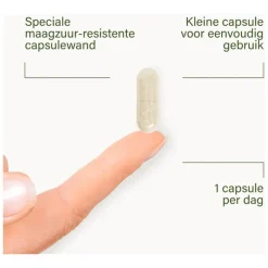 Online Nupure probaflor - Probiotica complex, hooggedoseerd met inulin, 30 capsules