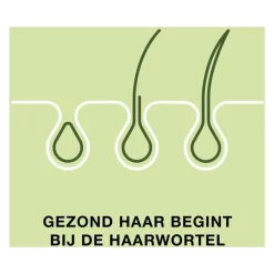 Priorin 120 Capsules Met Biotine Voor Sterk En Vol Haar Van Binnenuit