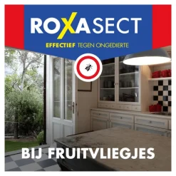 Sale Roxasect Fruitvliegjes Vanger 1 stuk