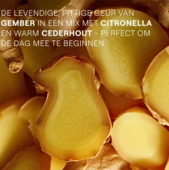 Hot Weleda Aroma Energy Shower 200 ML